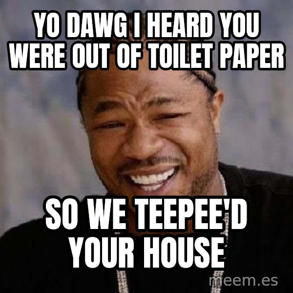 Yo Dawg meme: YO DAWG I HEARD YOU WERE OUT OF TOILET PAPER / SO WE TEEPEE'D YOUR HOUSE