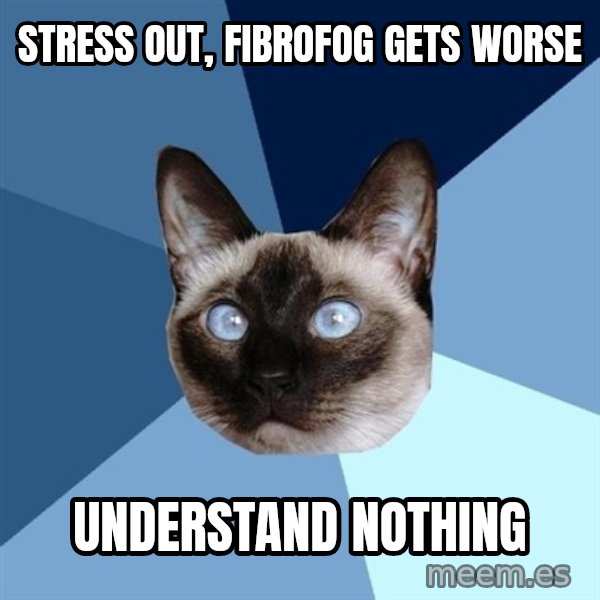 Chronic Illness Cat meme: stress out, fibrofog gets worse / understand nothing