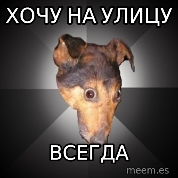 Depression Dog meme: Хочу на улицу / всегда