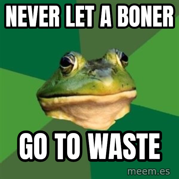 Foul Bachelor Frog meme: never let a boner / go to waste