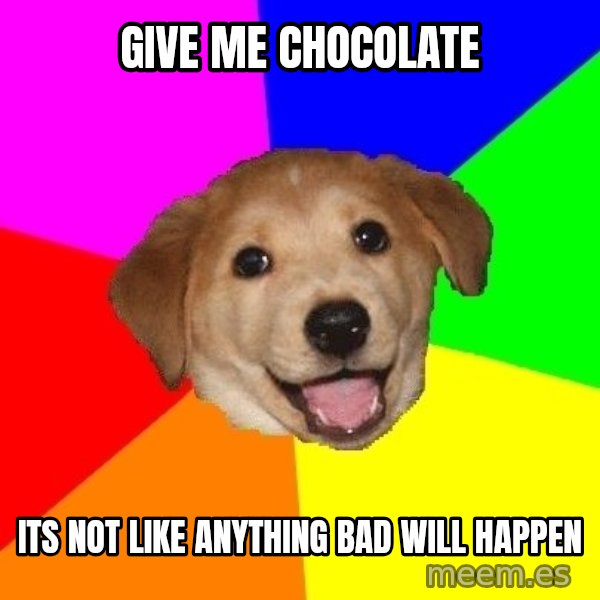 Advice Dog meme: Give me chocolate / its not like anything bad will happen