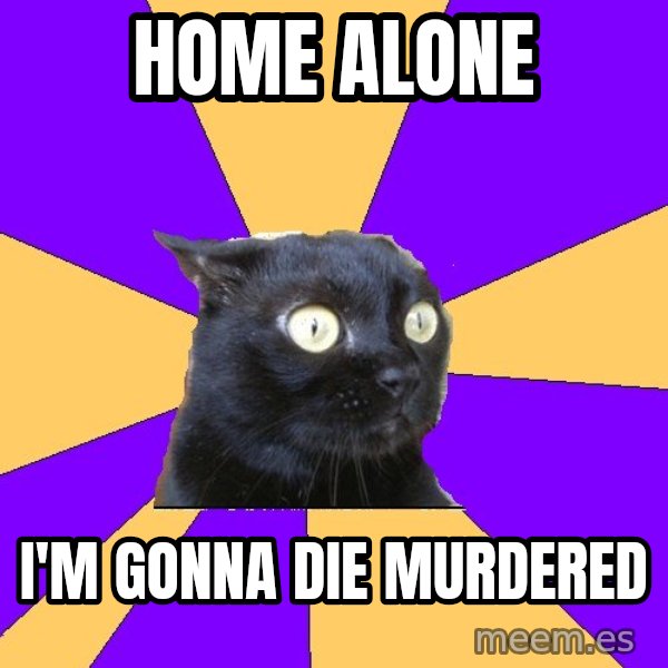 Anxiety Cat meme: Home Alone / I'm gonna die murdered