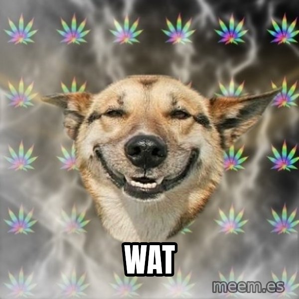 Stoner Dog meme: wat