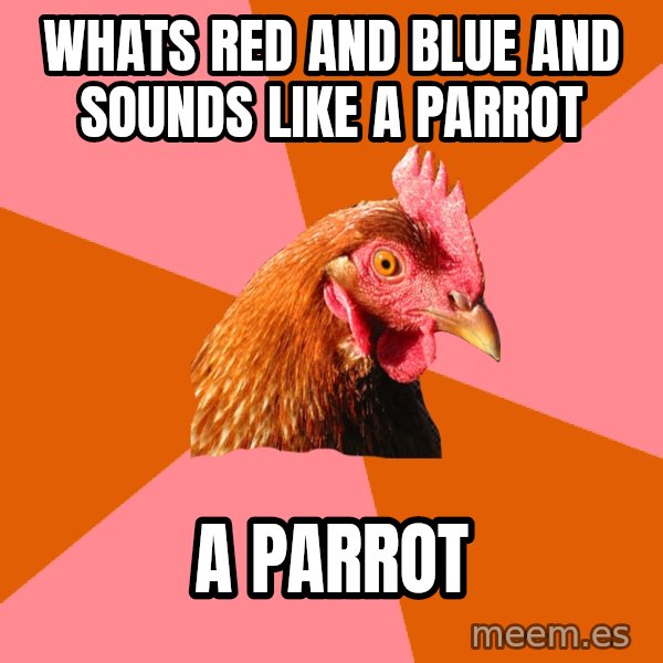 Anti Joke Chicken meme: Whats red and blue and sounds like a parrot / a parrot