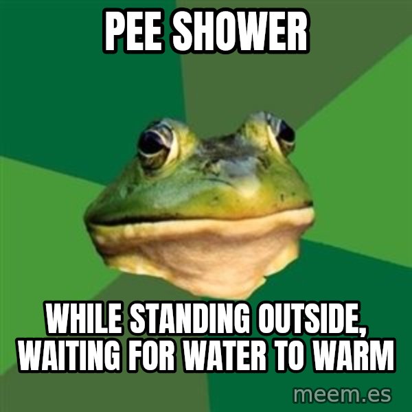Foul Bachelor Frog meme: pee shower / while standing outside, waiting for water to warm