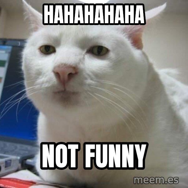 Serious Cat meme: HAHAHAHAHA / NOT FUNNY