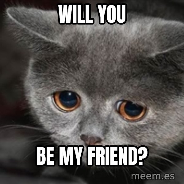 Sadcat meme: will you / be my friend?