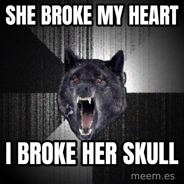 Insanity Wolf meme: She broke my heart / I broke her skull