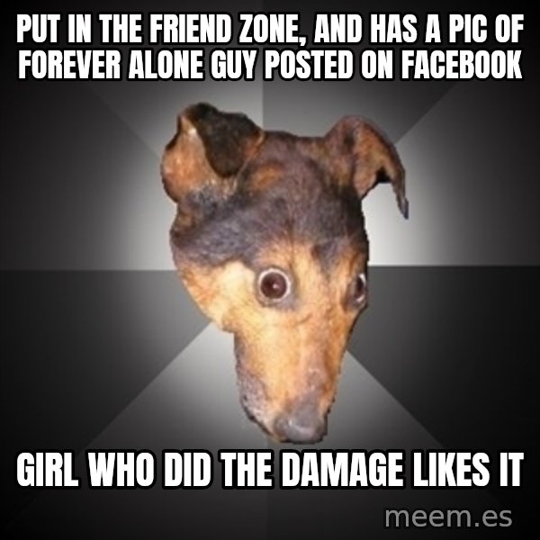 Depression Dog meme: Put in the  friend zone, and has a pic of forever alone guy posted on facebook / girl who did the damage likes it