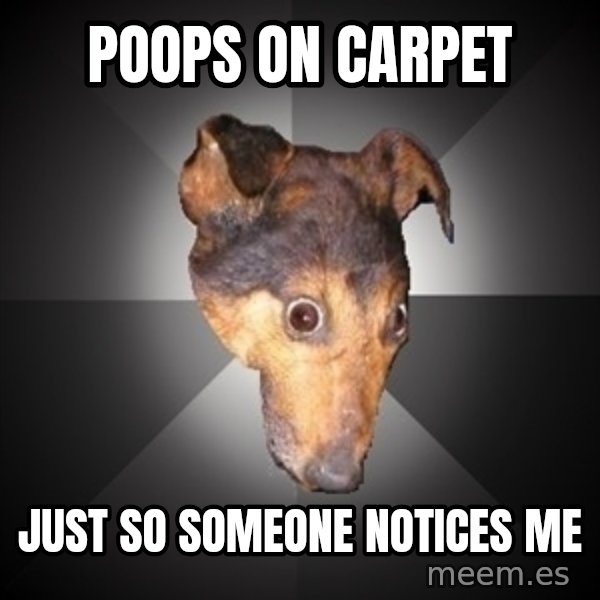 Depression Dog meme: poops on carpet / just so someone notices me