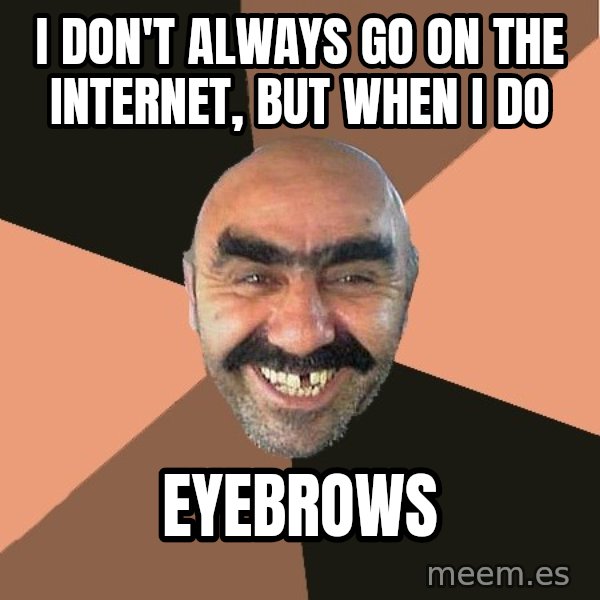Provincial Man meme: I don't always go on the internet, but when i do / EYEBROWS