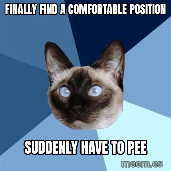 Chronic Illness Cat meme: Finally find a comfortable position / suddenly have to pee