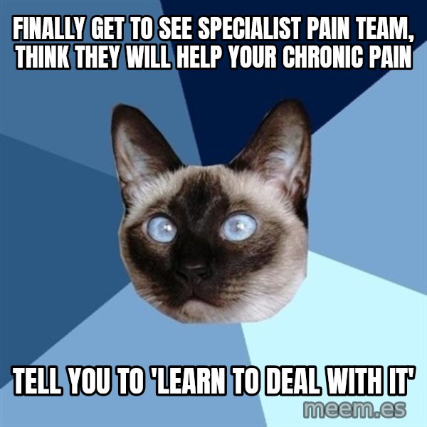 Chronic Illness Cat meme: Finally get to see SPECIALIST pain team, think they will help your chronic pain / tell you to 'learn to deal with it'