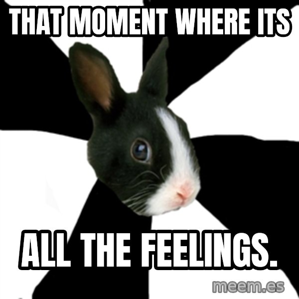 Roleplaying Rabbit meme: that moment where its / all the feelings.