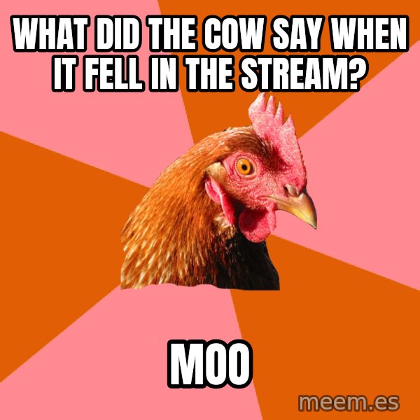 Anti Joke Chicken meme: what did the cow say when it fell in the stream? / moo