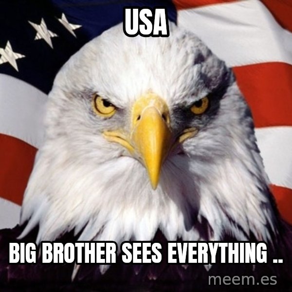 American Pride Eagle meme: USA / big brother sees everything ..