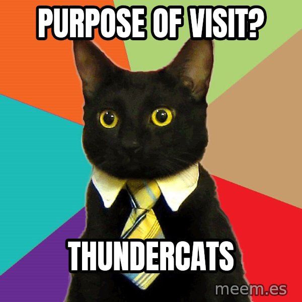 Business Cat meme: Purpose of visit? / Thundercats