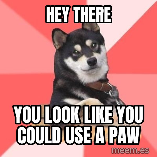 Cool Dog meme: Hey There / You Look like you could use a paw