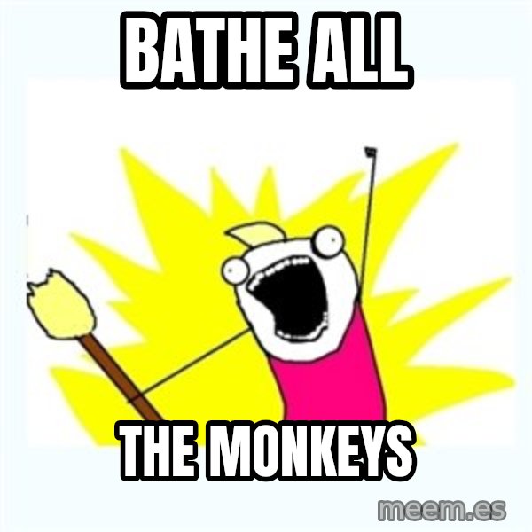 All the things meme: bathe all / the monkeys