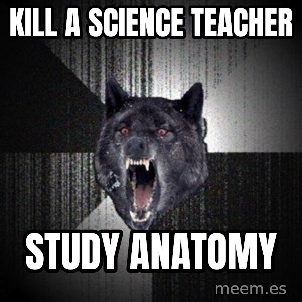 Insanity Wolf meme: kill a science teacher / study anatomy