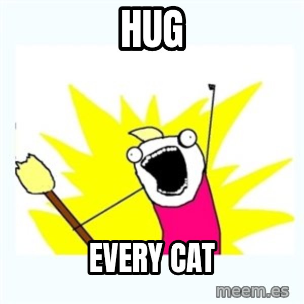 All the things meme: Hug / EVERY CAT