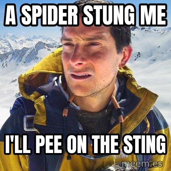 Bear Grylls meme: A Spider stung me / I'll pee on the sting