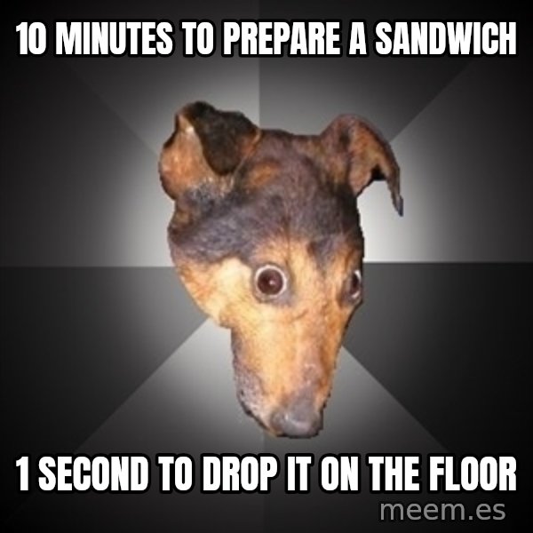 Depression Dog meme: 10 minutes to prepare a sandwich / 1 SECOND TO DROP IT ON THE FLOOR