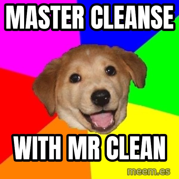 Advice Dog meme: master cleanse / with mr clean