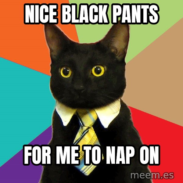 Business Cat meme: NICE BLAcK PANTS / FOR ME TO NAP ON