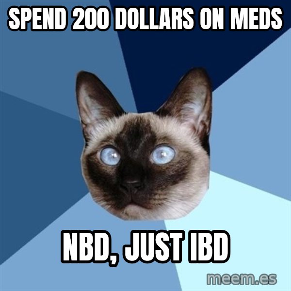 Chronic Illness Cat meme: Spend 200 dollars on meds / nbd, just ibd