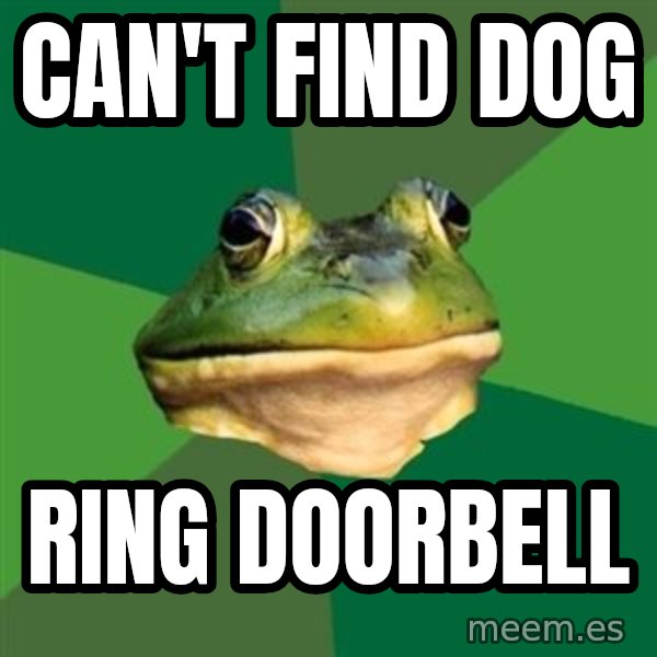 Foul Bachelor Frog meme: can't find dog / ring doorbell