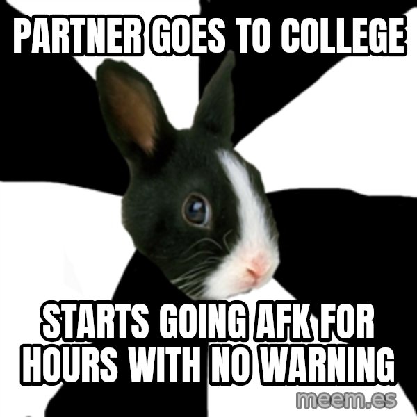 Roleplaying Rabbit meme: Partner goes to college / starts going AFK for hours with no warning