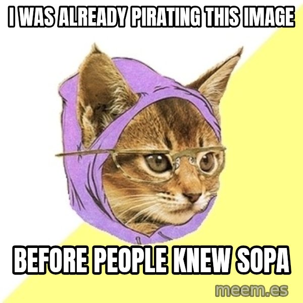 Hipster Kitty meme: I was already pirating this image / Before people knew Sopa