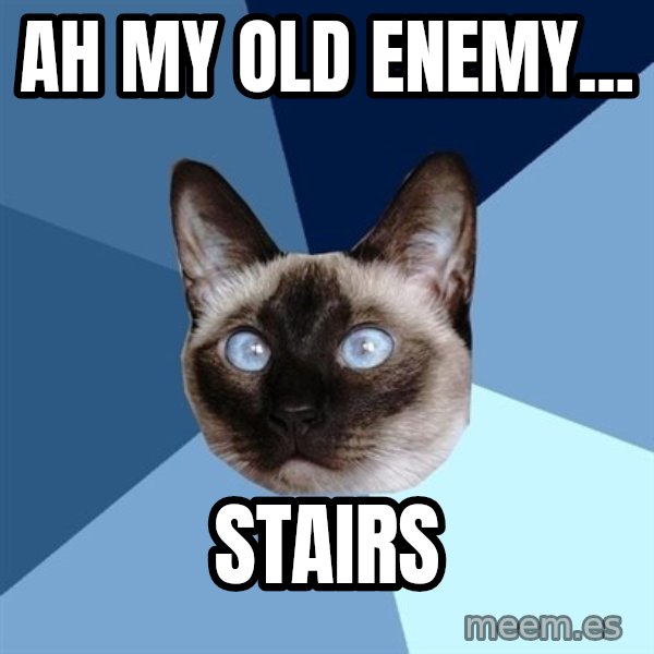 Chronic Illness Cat meme: Ah my old enemy... / STAIRS