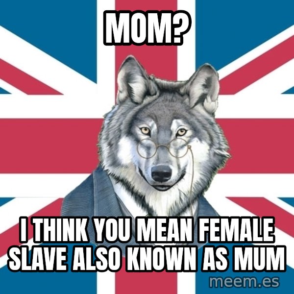 Sir Courage Wolf Esquire meme: MOM? / I think you mean female slave also known as mum