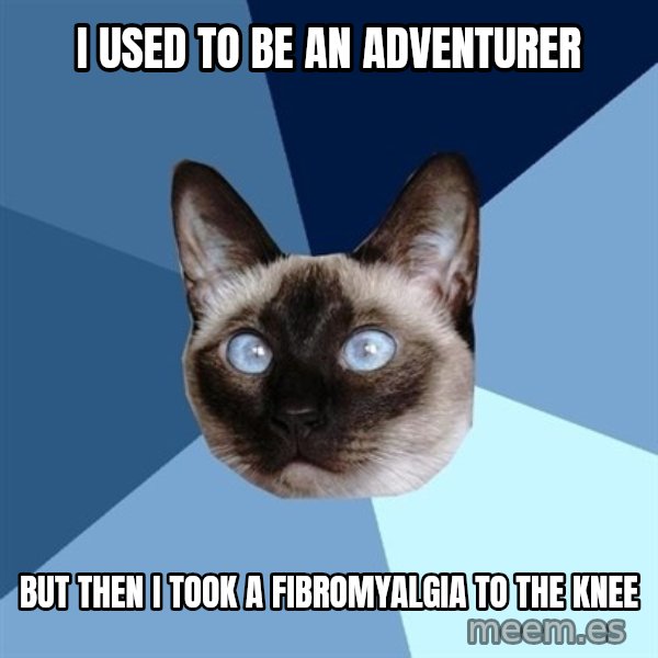Chronic Illness Cat meme: I used to be an adventurer / but then i took a fibromyalgia to the knee