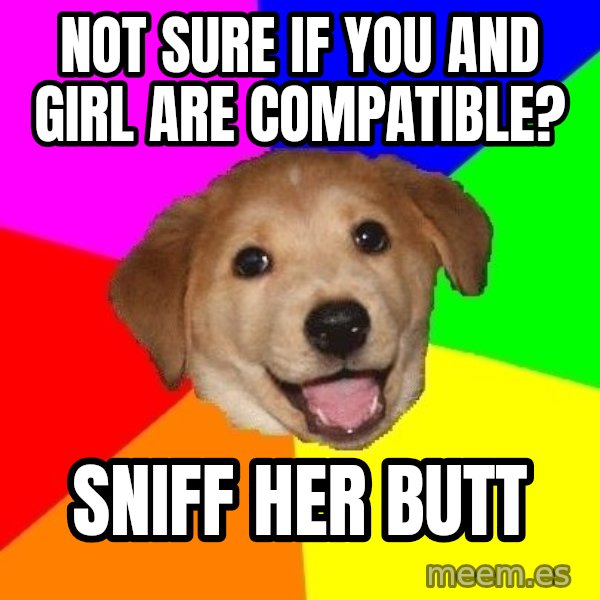 Advice Dog meme: not sure if you and girl are compatible? / sniff her butt