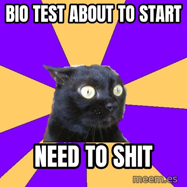 Anxiety Cat meme: bio test about to start / need to shit