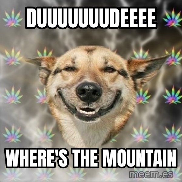 Stoner Dog meme: DUUUUUUUDEEEE / WHERE'S THE MOUNTAIN