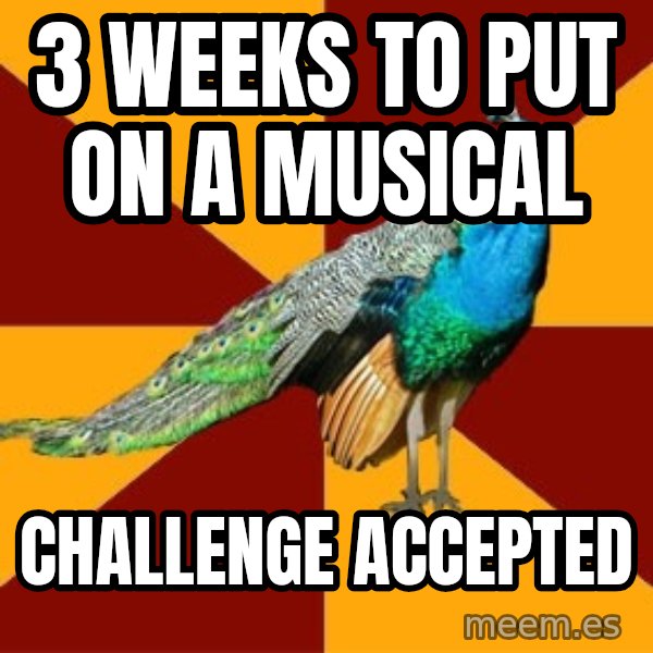 Thespian Peacock meme: 3 weeks to put on a musical / challenge accepted