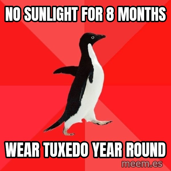 Socially Awesome Penguin meme: no sunlight for 8 months / wear tuxedo year round