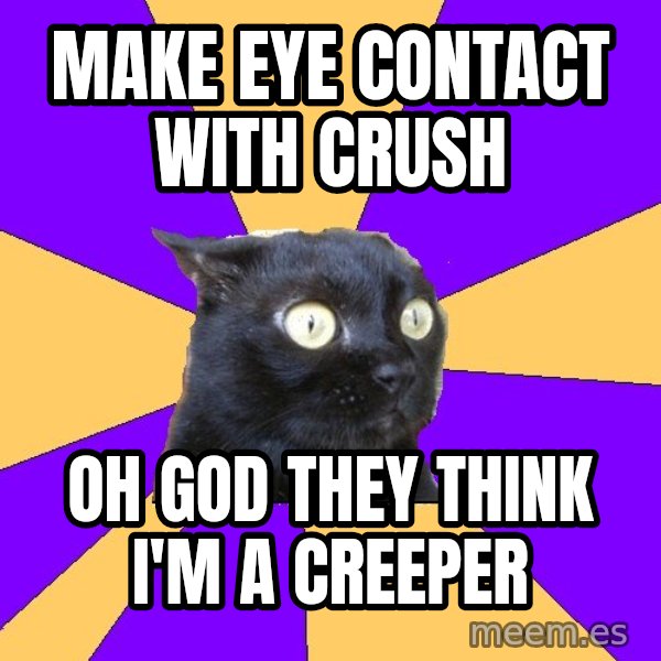 Anxiety Cat meme: Make eye contact with crush / oh god they think i'm a creeper