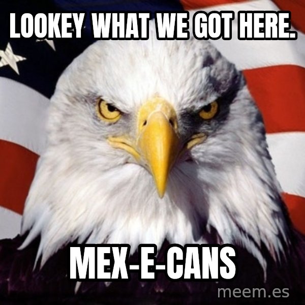 American Pride Eagle meme: Lookey what we got here. / Mex-e-cans