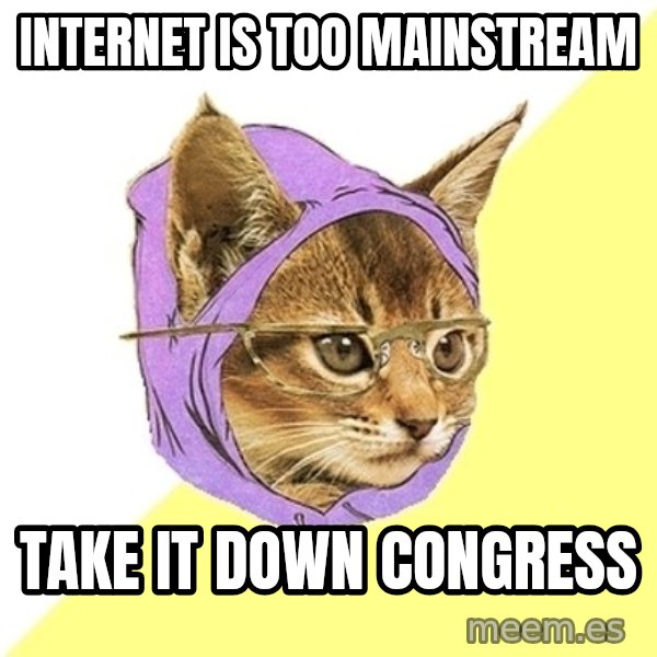 Hipster Kitty meme: Internet is too mainstream / Take it down congress