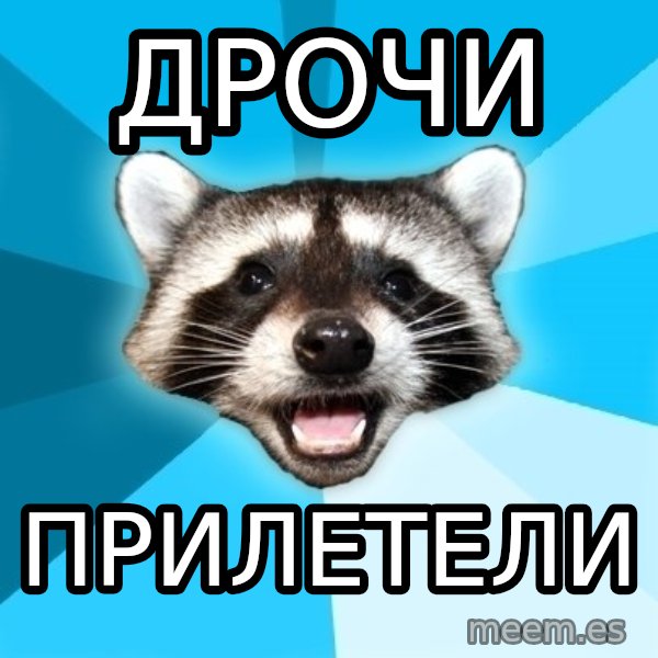 Lame Pun Coon meme: дрочи / прилетели