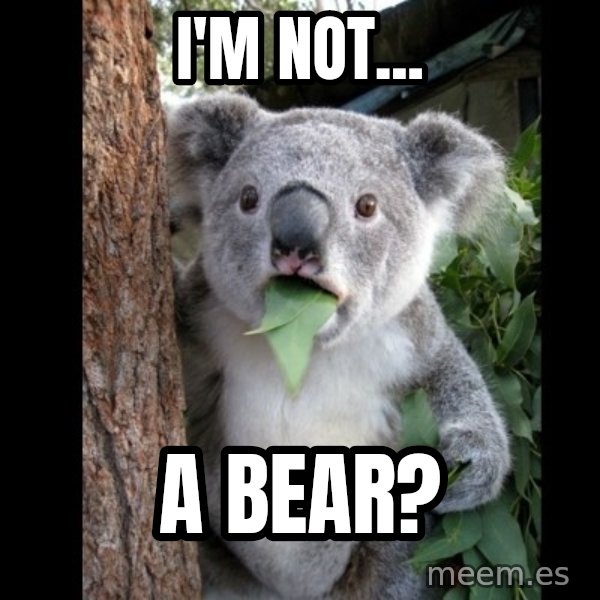 Koala can't believe it meme: i'm not... / a bear?
