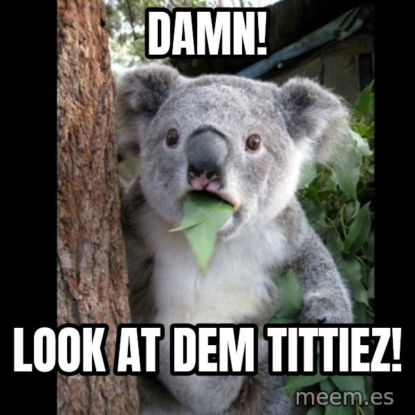 Koala can't believe it meme: DAMN! / LOOK AT DEM TITTIEZ!