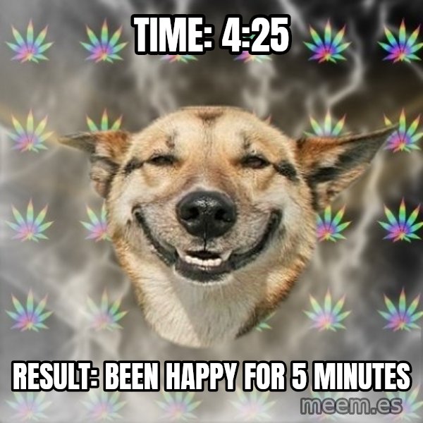Stoner Dog meme: Time: 4:25 / Result: Been happy for 5 minutes