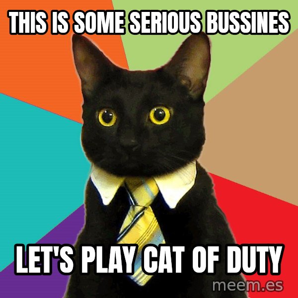 Business Cat meme: this is some serious bussines / let's play cat of duty