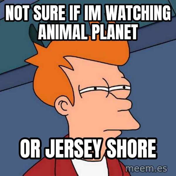 Futurama Fry meme: not sure if im watching animal planet / or jersey shore